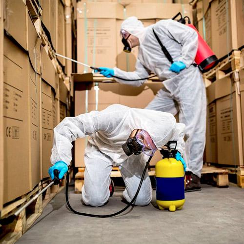 commerce-traitement-grande-surface-nuisibles
