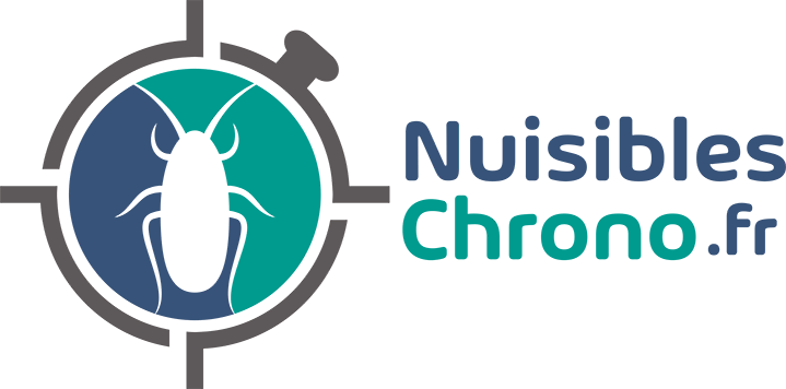entreprise-deratisation-desinsectisation-nuisibles